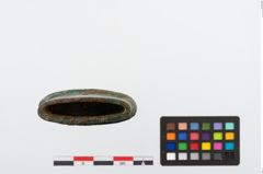 Foto von Bronzeortband (NHMW-PRAE-024490a2)